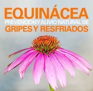 Equinacea - Remedio Gripes y Resfriados