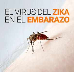 Virus del Zika