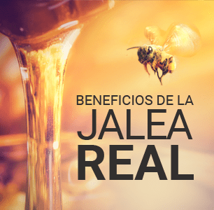 Beneficios de la Jalea Real